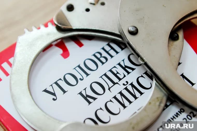 Уголовное дело возбудили весной этого года