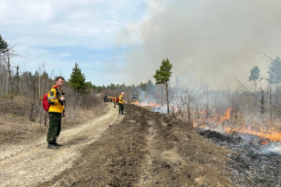 За минувшие сутки в Иркутской области ликвидировали 11 лесных пожаров