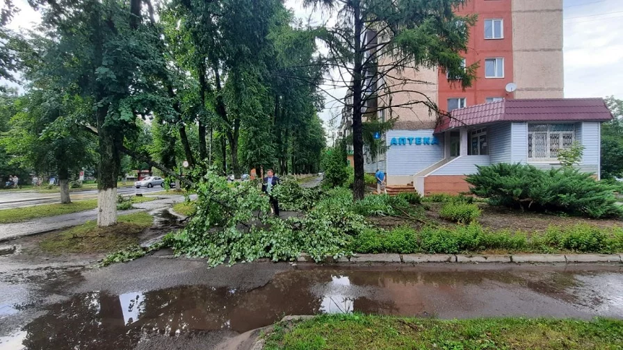 Погода в железногорске курской области карта осадков