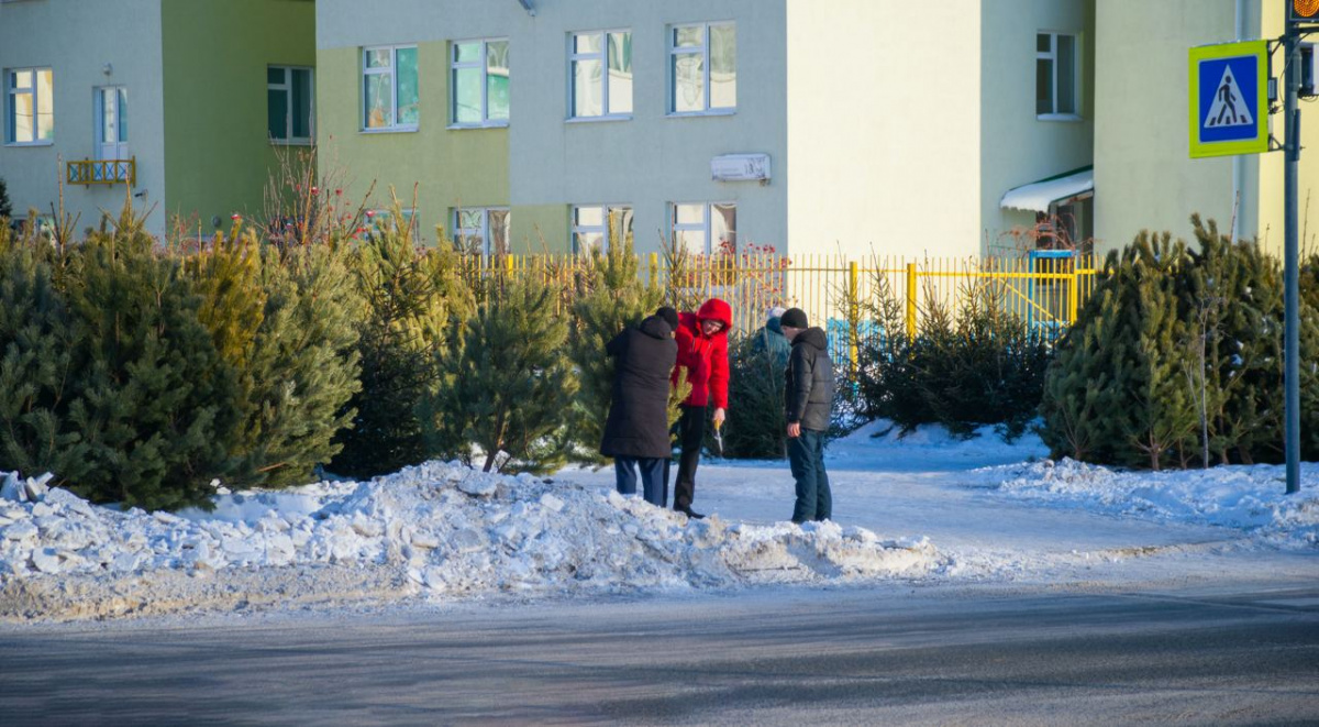 Елочные базары в Челябинске заработают с 13 декабря*1