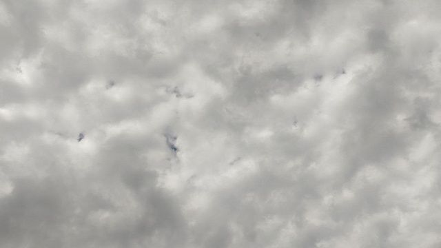 Фото: телеканал «Краснодар»