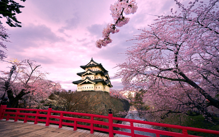Замок Хиросаки, расположенный на вершине холма на севере Японии, – самая впечатляющая крепость, сохранившая дух прежних лет. | Фото: traveltriangle.com.