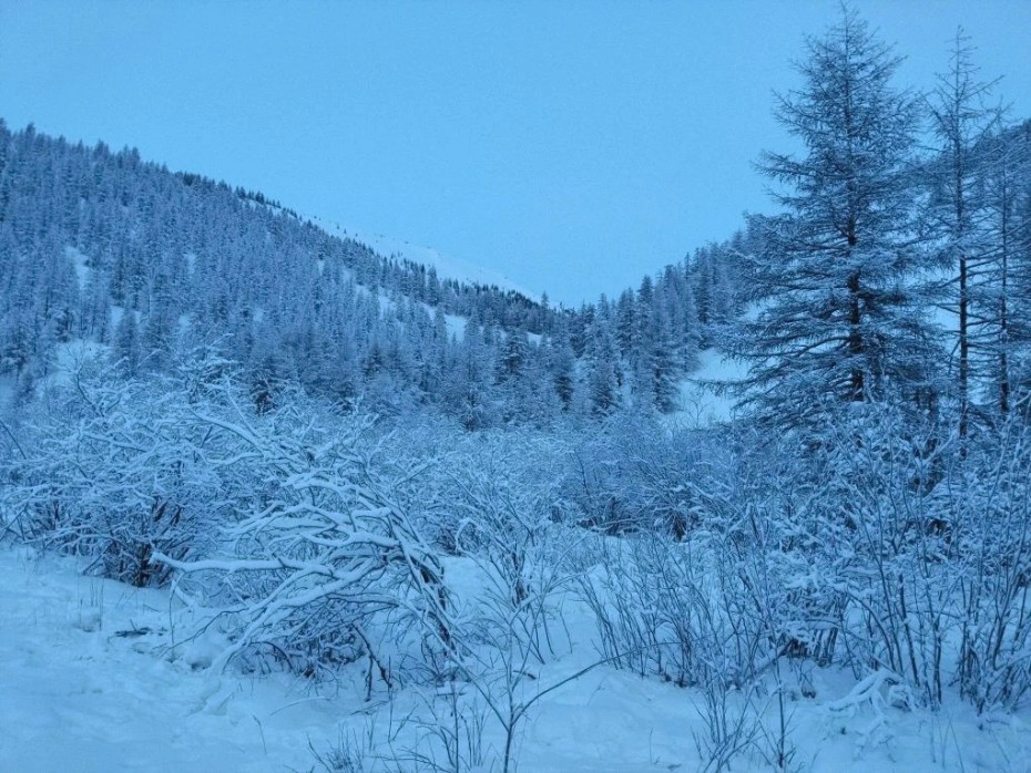 Операция «Мангазейская эвакуация»: в начале января в кобяйской тайге пропал человек