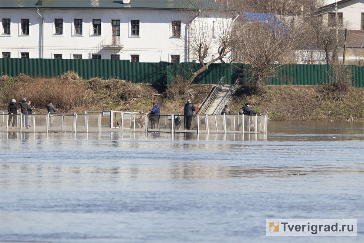 Уровень воды в волге в твери. Вода в волге в твери сегодня. Тверь волга вода. Уровень воды в волге в твери. Вода в волге в твери сегодня.