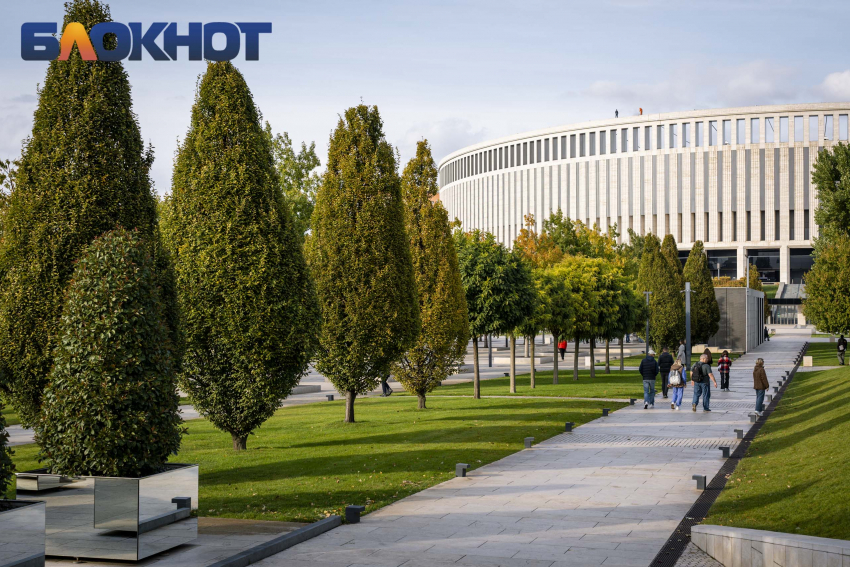 Краснодарские знаменитости в деле: Галицкий дарит спорткомплекс, у Нетребко новый роман, а Сафонов сходил в баню 