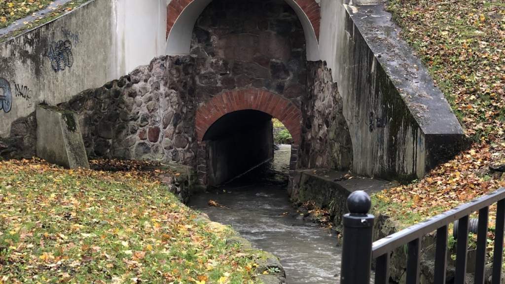 УХОДЯЩАЯ ОСЕНЬ В ПАРКЕ КРЕТИНГИ