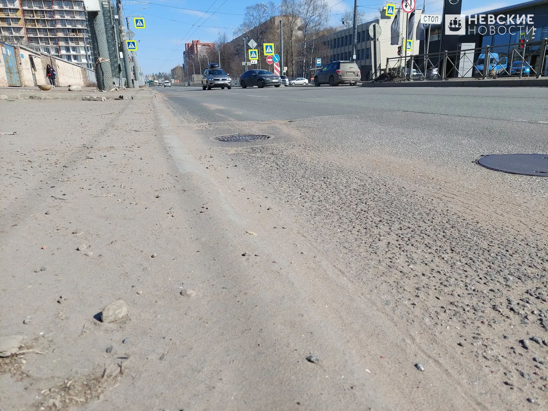 Астма, дерматит и силикоз: как городская пыль в Петербурге влияет на здоровье людей и животных