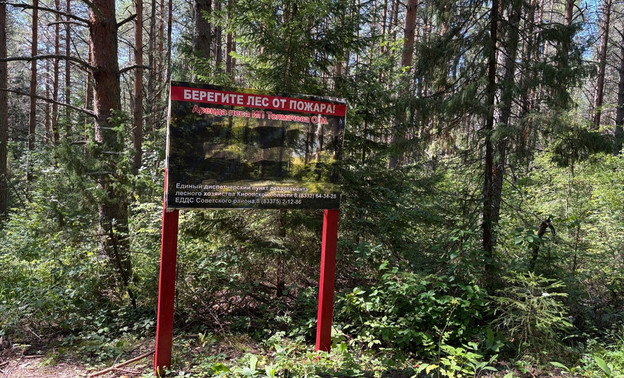 В Кировской области из западни спасли лося