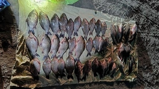 За рыбалку во время нереста вартовчанин может лишиться свободы