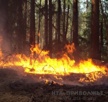 Попытка опалить курицу привела к серьезному пожару в Удмуртии