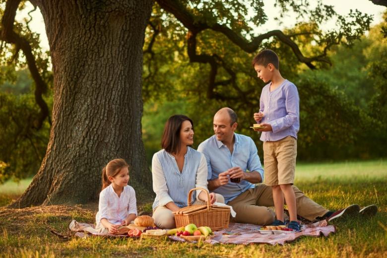 Какой сегодня день? Праздники и памятные даты 8 июля 2025 года