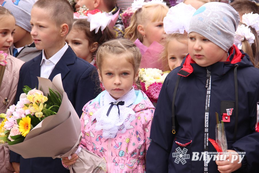 Экономический лицей великие луки