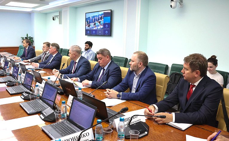Круглый стол Комитета Совета Федерации по экономической политике «Совершенствование механизмов управления стратегическим развитием электроэнергетики Российской Федерации»