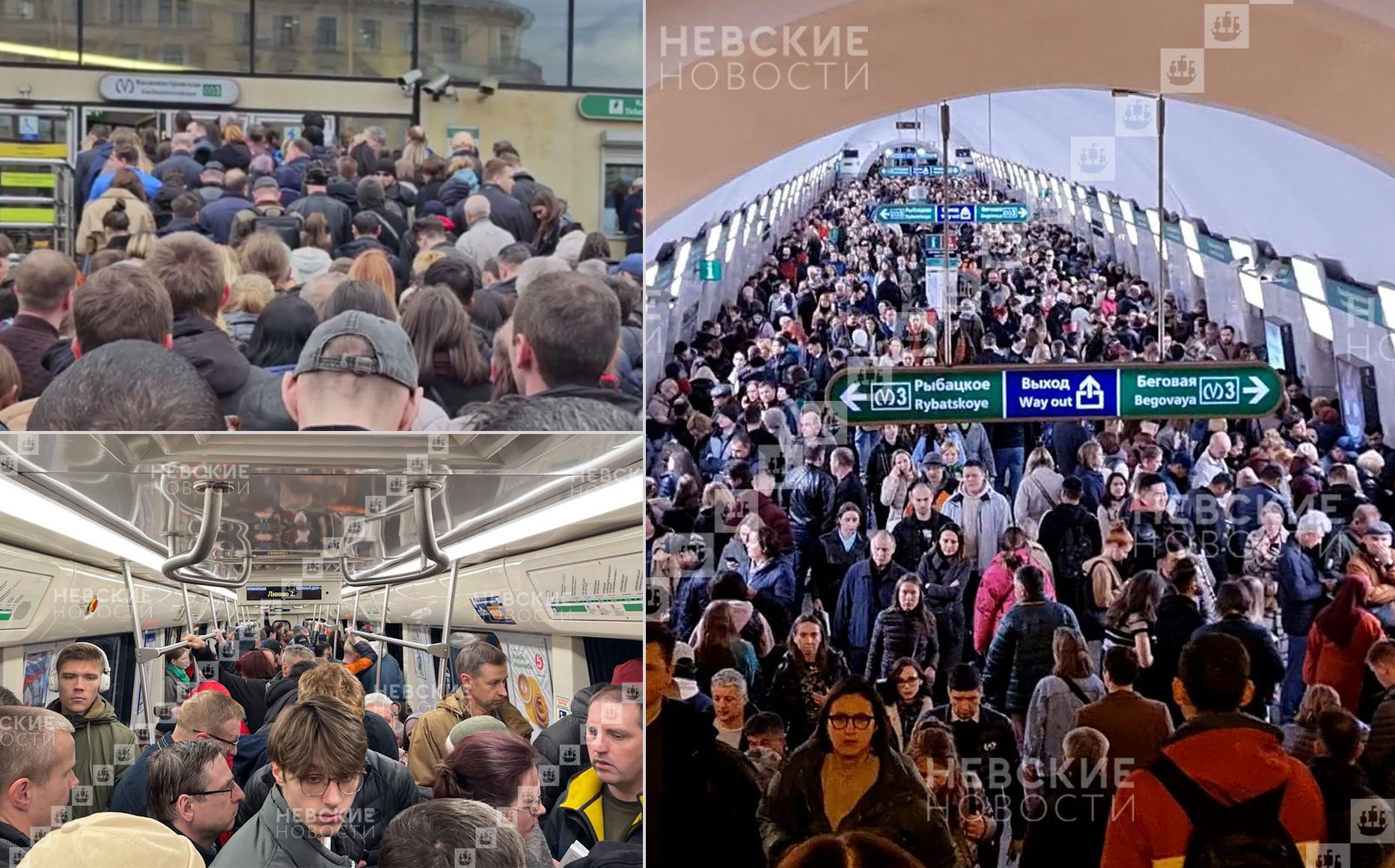 метро василеостровская санкт петербург