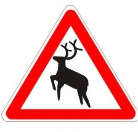 Осторожно олени. Знак 1.27. Дикие животные. Дорожный знак олень в треугольнике. Дорожный знак Дикие звери. Предупреждающие знаки Дикие животные.
