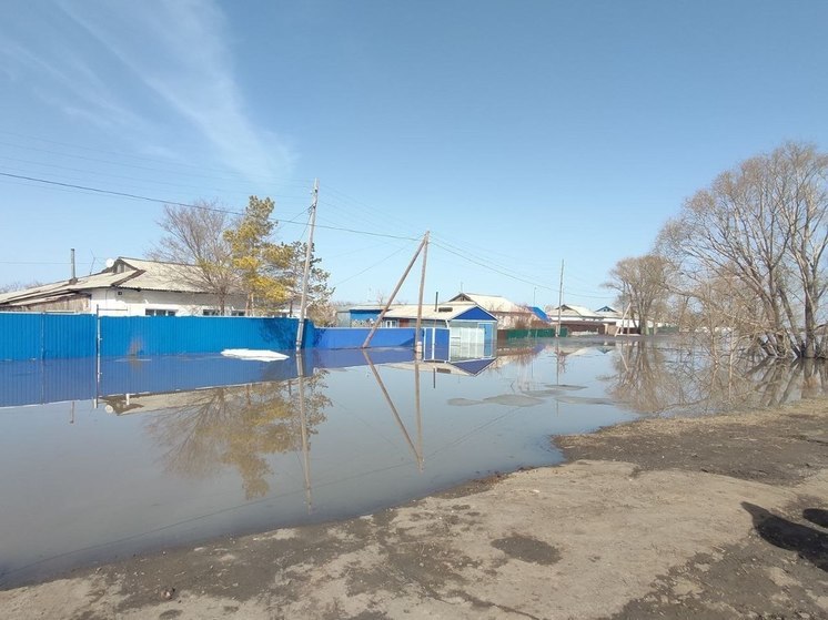 Виталий Хоценко взял на личный контроль ситуацию с паводком в Омской области