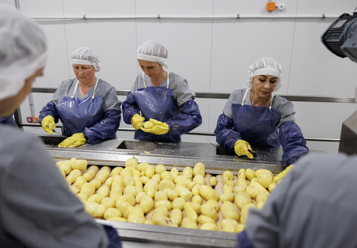 Правда о привычных продуктах