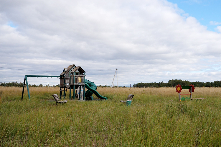 Внутри ЖСК успели оборудовать детскую площадку — она тоже выцвела и утопает в траве