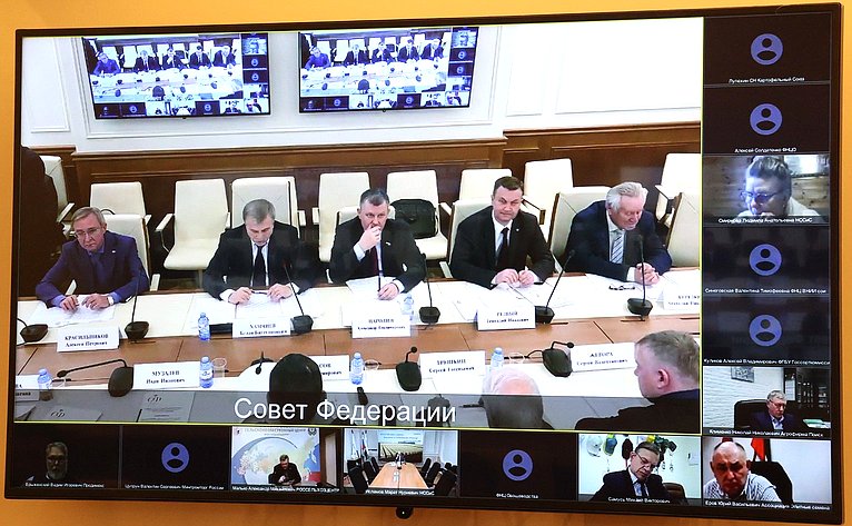 Заседание секции «Селекция и семеноводство» Экспертного совета при Комитете СФ по аграрно-продовольственной политике и природопользованию
