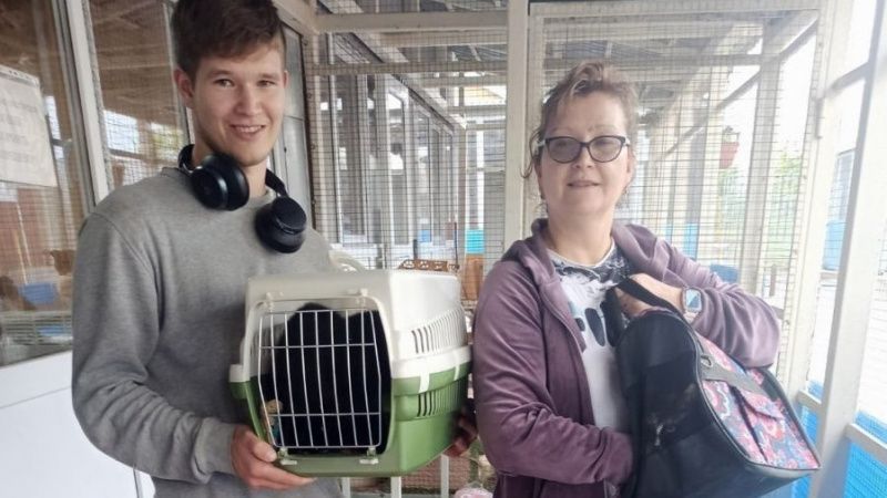 За три прошедшие недели новые дома обрели 13 питомцев из приюта «Зеленоград»