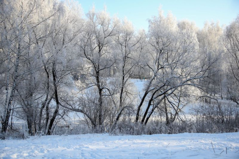 Приметы 8 ноября: Дмитриев день, поминальный день, конец свадебного сезона