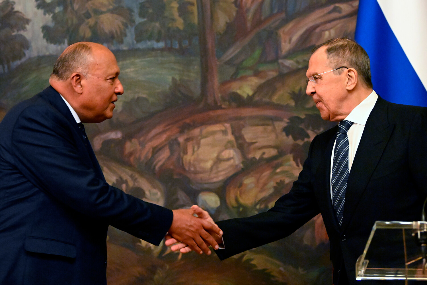 Мид египта. Президент египта в азербайджане. Лавров в египте 2022. Мид египта. Египетский министр иностранных дел.