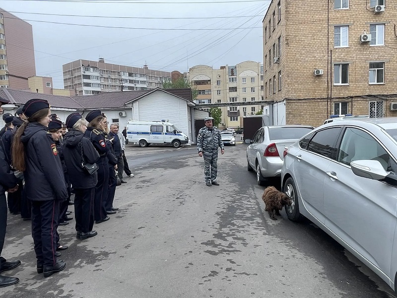 JPEG Файл