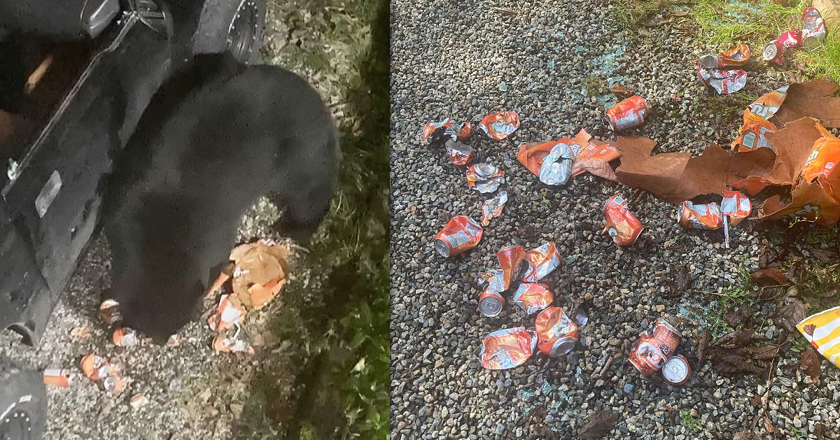 Охранник в шоке