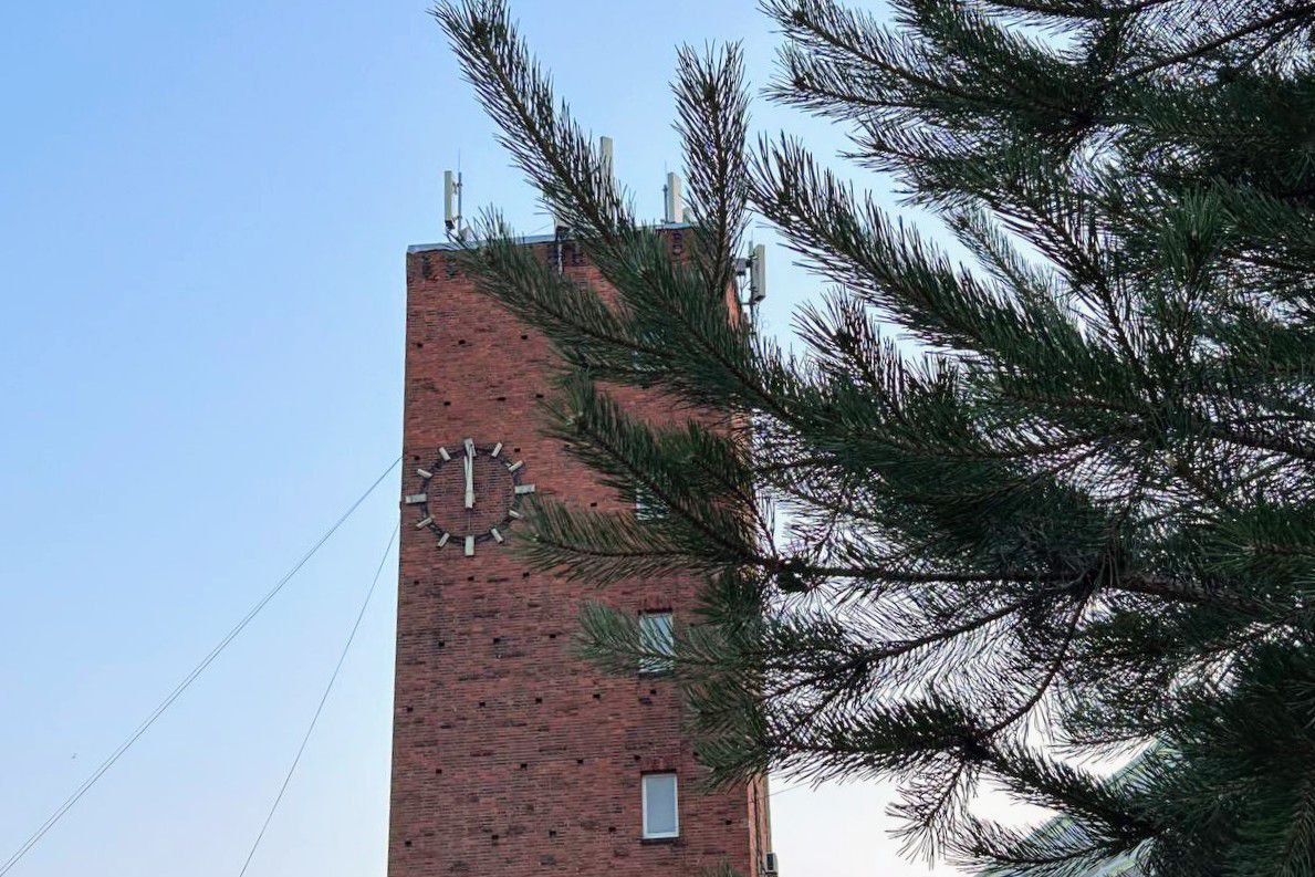 photo 2024 02 08 12 54 19