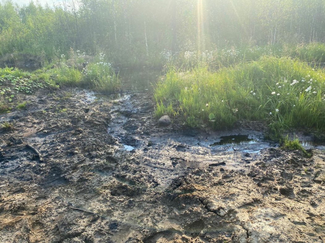 Фотографии водных объектов