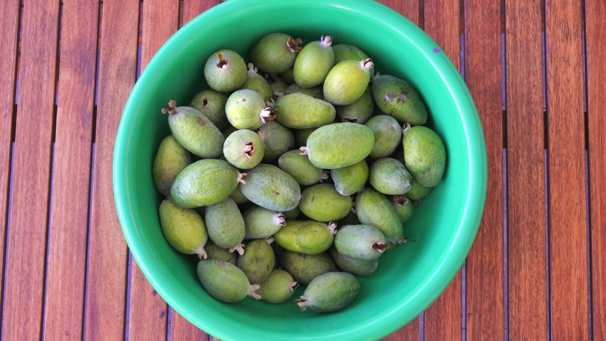 Не ошибетесь с выбором фейхоа: вот как купить по-настоящему вкусную ягоду