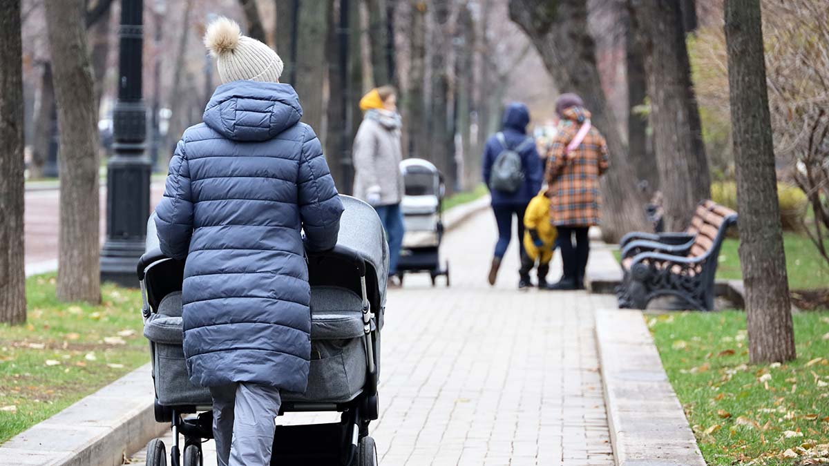 Вильфанд не прогнозирует снега в европейской части России