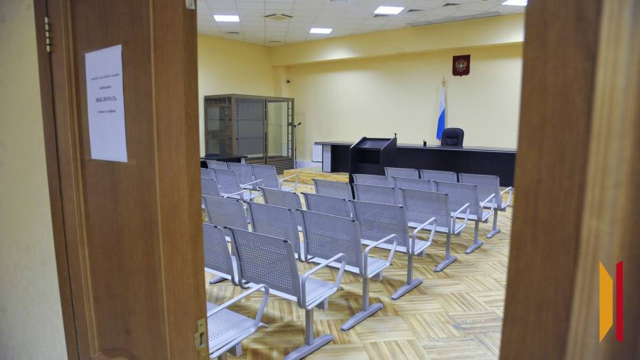 Жительницу Воронежской области отправили в колонию за долг по алиментам почти в 3,5 млн рублей