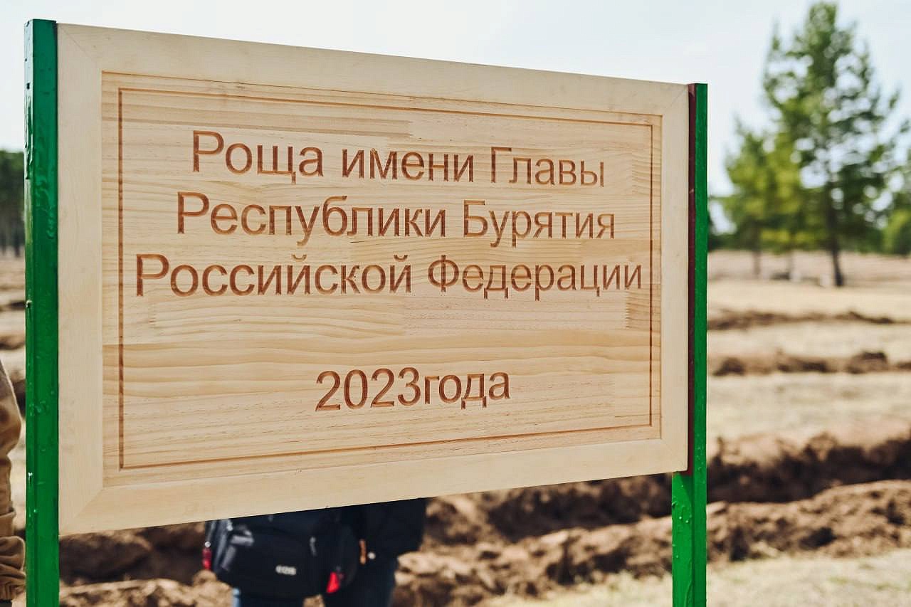 Березовая роща 1а. Парк дубовая роща димитровград. Березовая роща иркутск. Имя роща. Парки чебоксар презентация.