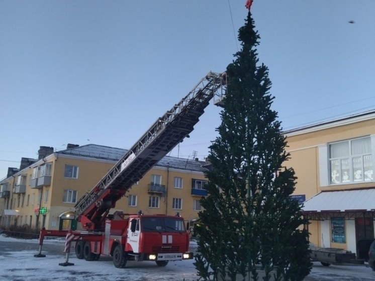 Пожарные из Беломорска помогли украсить главную зеленую красавицу города