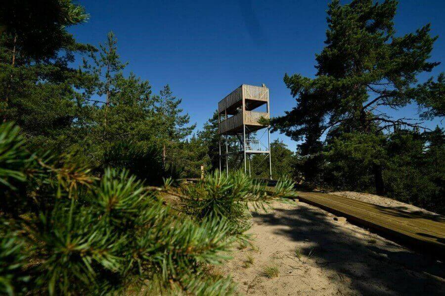 Фото: пресс-служба Ленинградского областного отделения ВООП