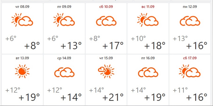 Какое будет лето по прогнозам синоптиков. Какая погода будет. В. бабье лето. Температура в Новосибирске на ближайшую неделю.. Прогноз погоды в Новосибирске на 20 дней. Погода в Новосибирске на 15 ноября.