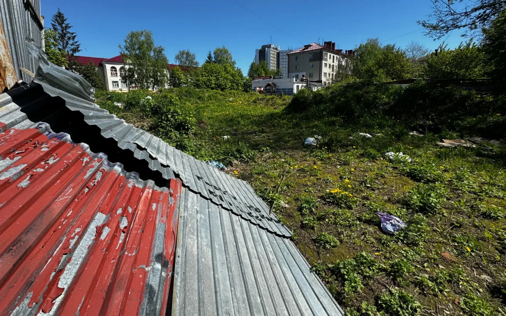 Бамгбала уехал, а пустырь в Брянске остался