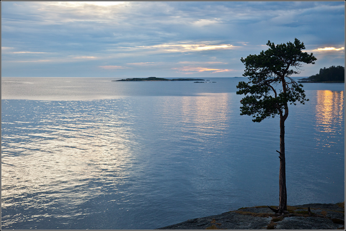 Белое море над уровнем моря. Беломорье Карелия. Белые ночи на белом море. Беломорье море. Берег белого моря Карелия.