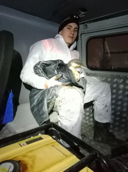Спасатели в лицах: Дмитрий Черепанов