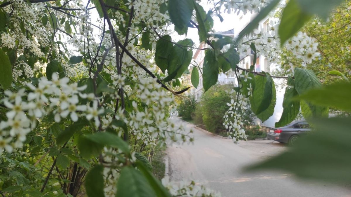 ООО «Региональные новости»