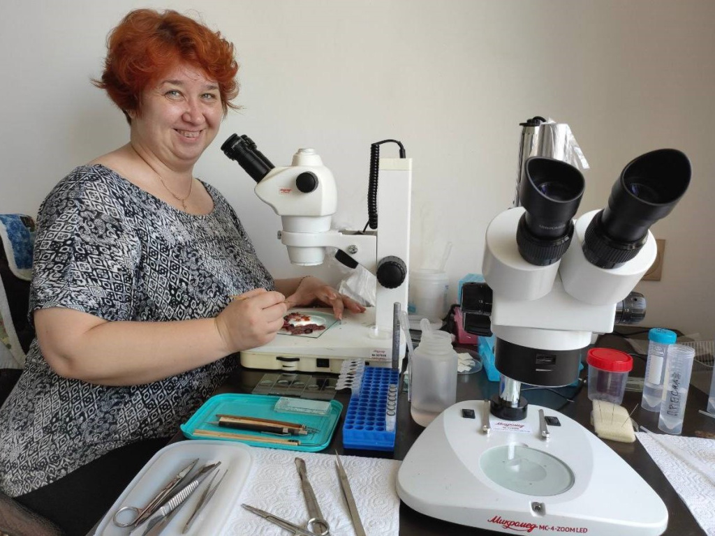 Вьетнам 11.jpg