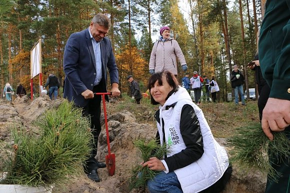 В Пензенской области осенью высадили более 60 тысяч деревьев