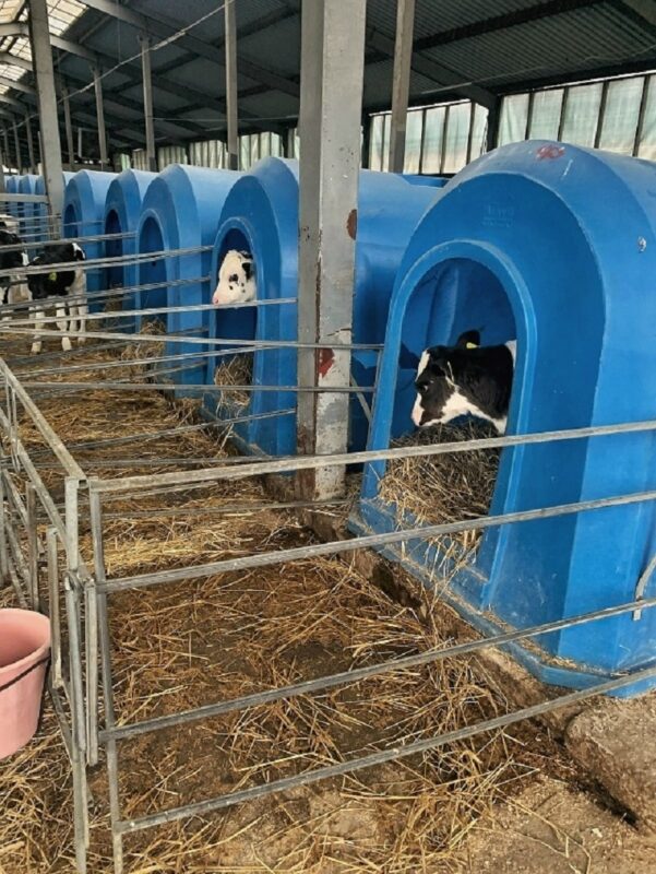 Дети Зуевского района познакомились с фермерским хозяйством