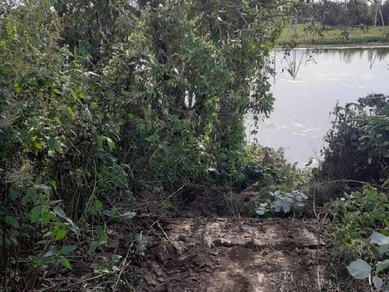 Река Уча вновь под угрозой: Минэкологии МО объявило предостережение