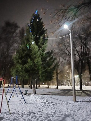 В Чернореченском всего одна новогодняя ель