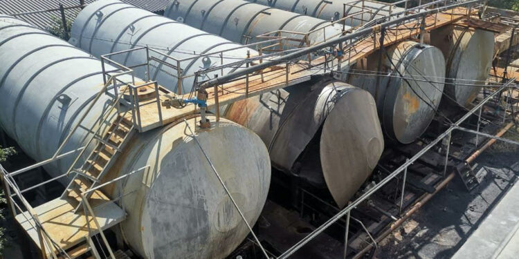 Фото: Сергей Лушин