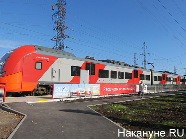 Фото: Накануне.RU