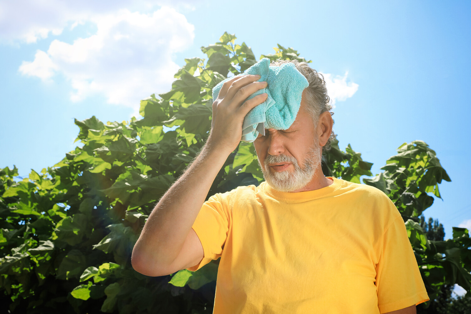 турецкая жара