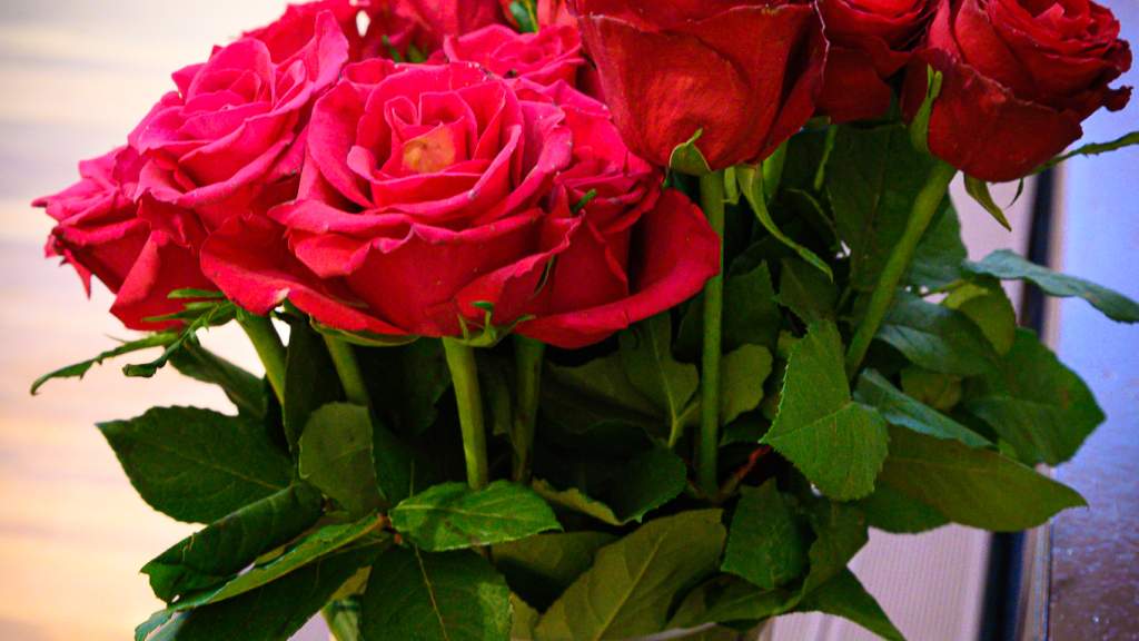 В Клайпеде - юбилей